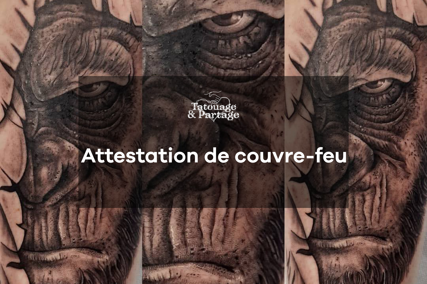 couvre-feu-tatouage-partage-tatoueur