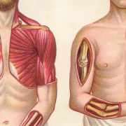 Troubles musculo-squelettiques : un questionnaire en ligne pour les tatoueurs