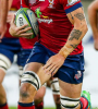 association-tatouage-partage-tattoos-interdits-coupe-monde-rugby